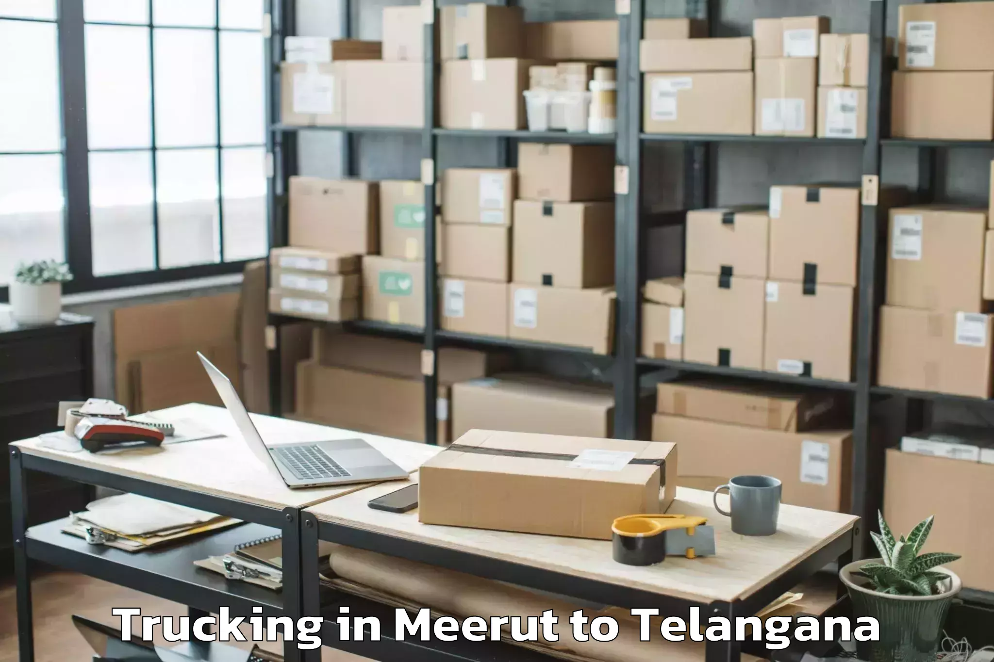 Book Meerut to Lingampet Trucking Online